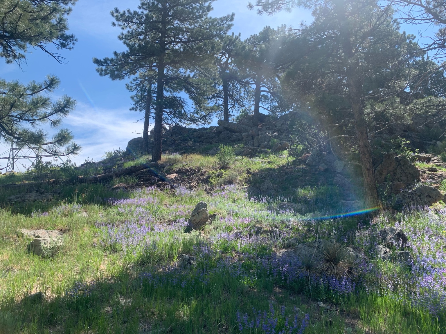 AD0398A1-5B42-4B65-A010-308F7BECE3E2